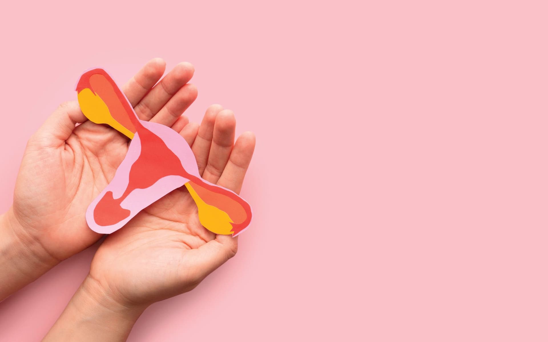 Specialist Cancer Risk packages for women