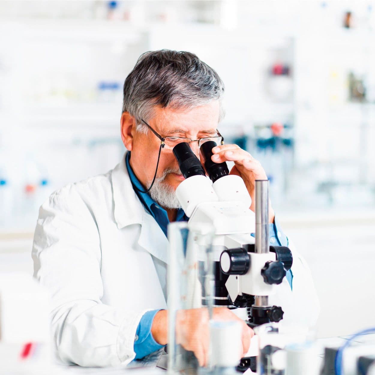 Book a SHBG Blood Test